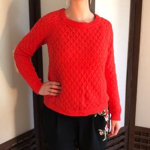 Knit Sweater